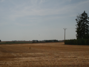 Agrandir l’image