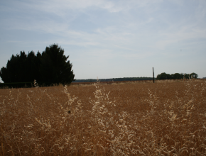 Agrandir l’image