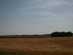 Agrandir l’image