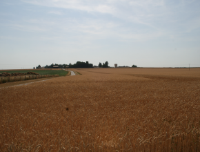 Agrandir l’image