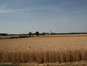 Agrandir l’image