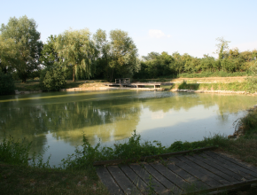 Agrandir l’image