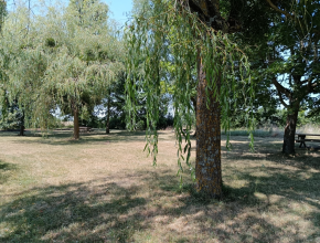 Agrandir l’image