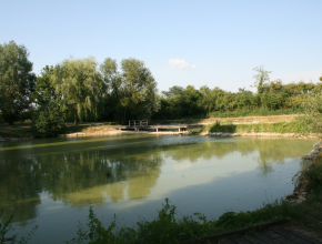 Agrandir l’image