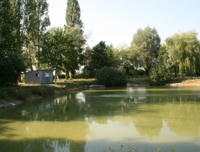 Agrandir l’image