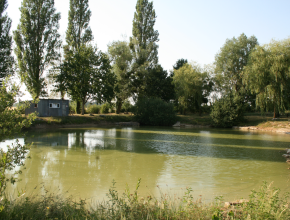Agrandir l’image