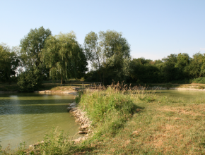Agrandir l’image