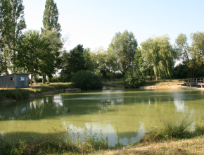 Agrandir l’image
