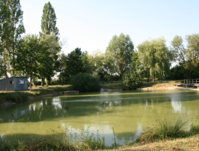 Agrandir l’image