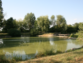 Agrandir l’image