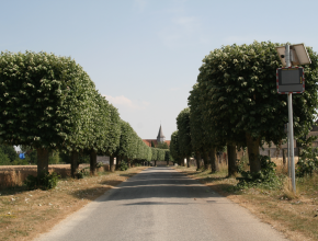 Agrandir l’image