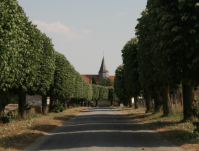Agrandir l’image
